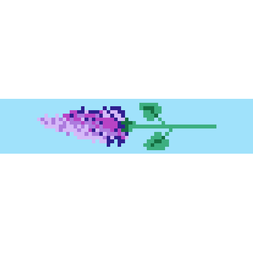 丁香花