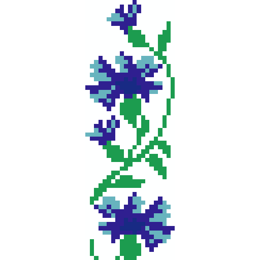 矢车菊