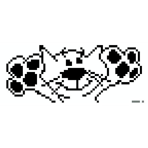 猫咪