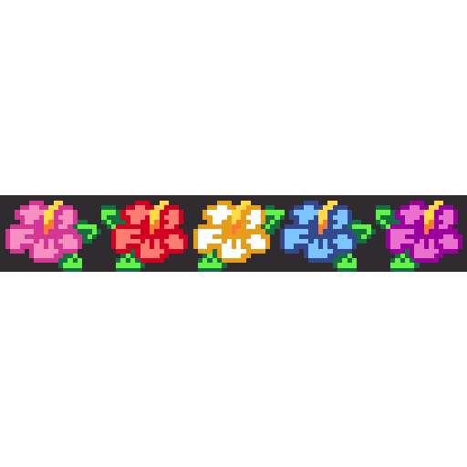 木槿花
