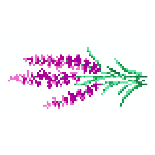 薰衣草花束
